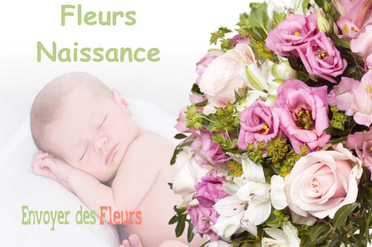 lIVRAISON FLEURS NAISSANCE à SAINT-LARY-BOUJEAN