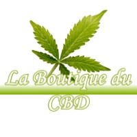 LA BOUTIQUE DU CBD SAINT-LARY-BOUJEAN 